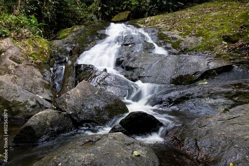 waterfall in the forest