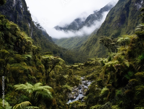 Lush green rainforest landscape with flowing stream