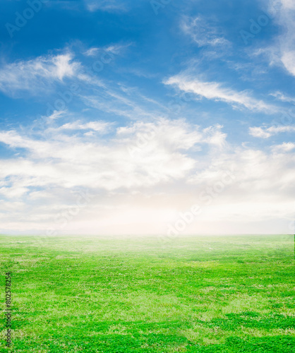 beautiful colorful meadow and a sunny blue sky