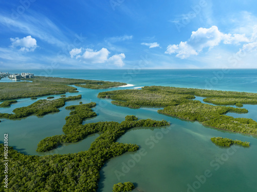 Blue sky over the mangrove tree waterway off the Gulf of Mexico