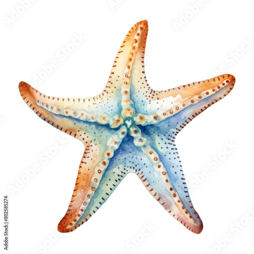 Starfish Isolated Detailed Watercolor Hand Drawn Painting Illustration
