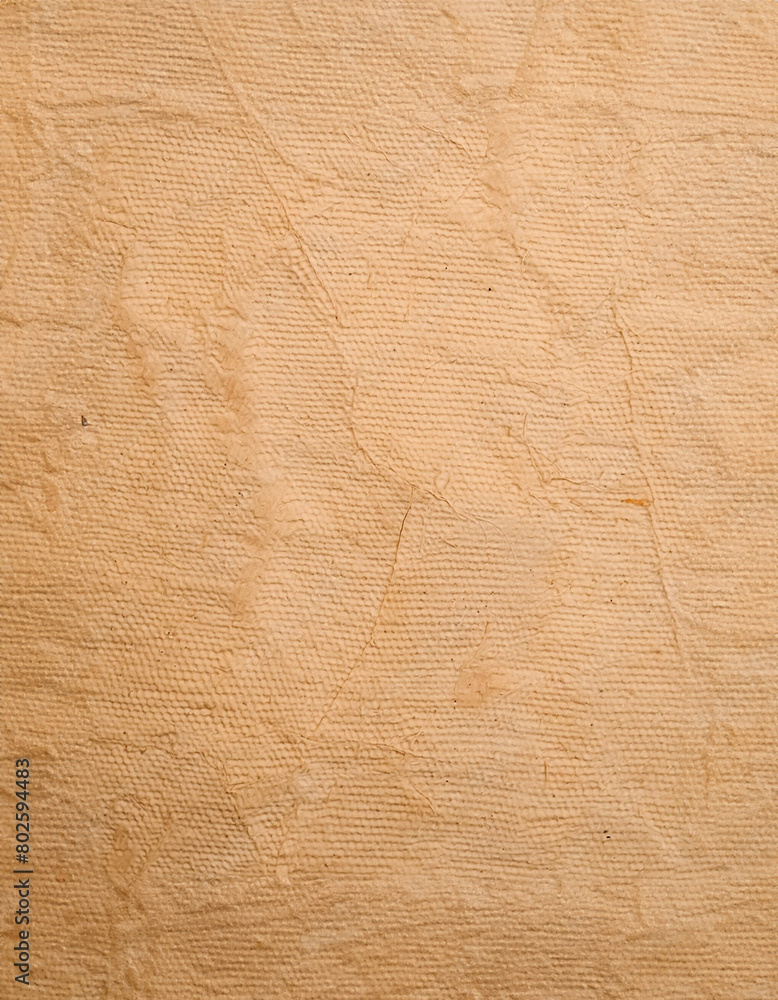 Close-up view of a light-colored wooden surface, displaying the natural grain and texture. Lines and patterns typical for wood textures are visible Close-up view of a light-colored wooden surface, displaying the natural grain and texture. Lines and patterns typical for wood textures are visible