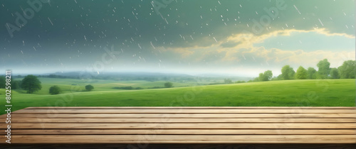 A serene landscape showing a wooden foreground leading to a vast green field under a rainy sky