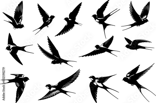 Set silhouettes hirondelle rustique en vol, oiseau noir sur fond blanc isolé photo