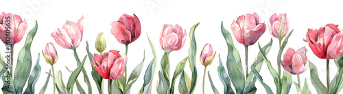 Wallpaper Mural Watercolor illustration of tulips and leaves in a delicate and colorful seamless pattern, suitable for greeting cards, wedding invitations, and background designs. Torontodigital.ca