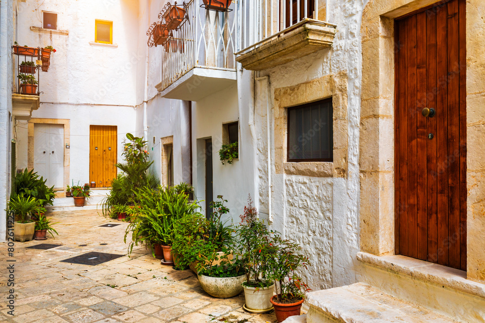Fototapeta premium Scenic sight in Locorotondo, Bari Province, Apulia (Puglia), Italy. Characteristic streets in the Locorotondo in Puglia, Italy. Locorotondo is a town of the Metropolitan City of Bari, Apulia, Italy.