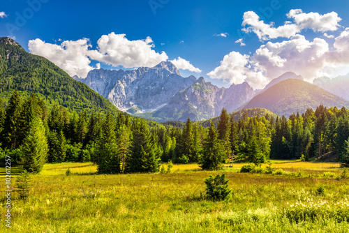 Valley in the Triglav National Park, Julian Alps, Slovenia. Julian Alps mountains, Slovenia, Europe. photo