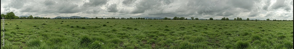 Fototapeta premium Panoramic View of Vast Green Field Under Cloudy Sky Representing Agriculture, Open Space, and Natural Environment in a Rural Setting, Green Field Panorama