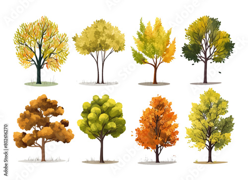 Watercolor hand drawn set with illustration of autumn colorful deciduous trees isolated on white background. Collection of red, yellow, orange autumn season trees in summer day