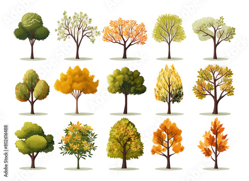 Watercolor hand drawn set with illustration of autumn colorful deciduous trees isolated on white background. Collection of red, yellow, orange autumn season trees in summer day