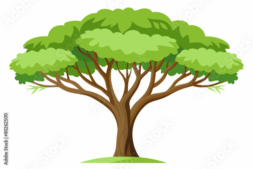 tree with leaves vector art illustration