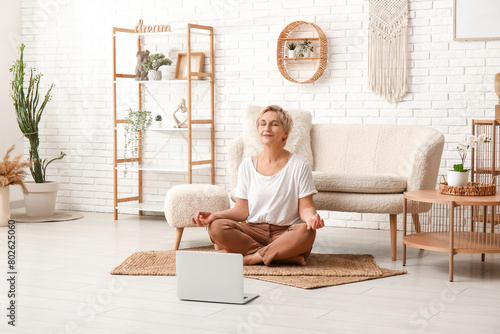 Mature woman with laptop me...