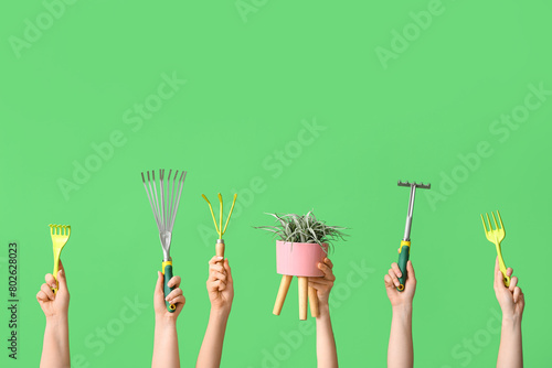 Female hands with different gardening tools and plant on green background
