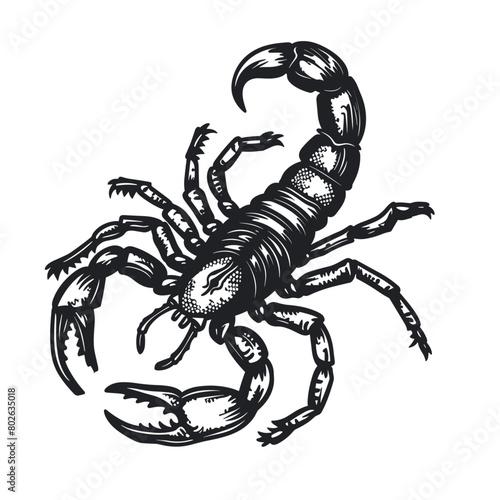detailed image of a scorpion highlighting its segmented body and legs
