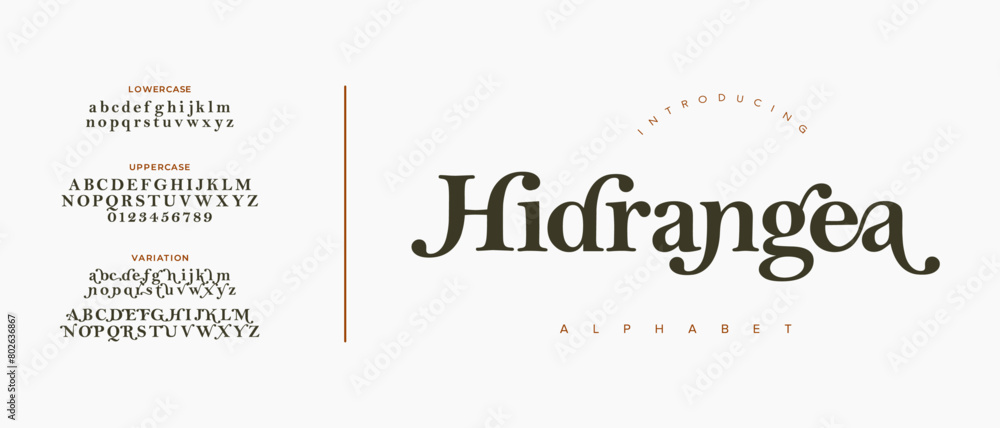 Hidrangea Elegant Font Alphabet Uppercase Lowercase and Number. Classic Lettering Minimal Fashion Designs. Typography modern serif fonts regular decorative vintage concept. vector illustration