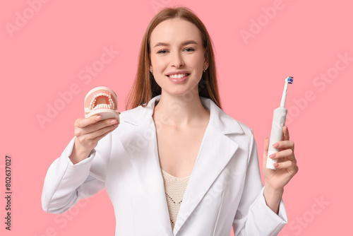 Young woman with jaw model ...