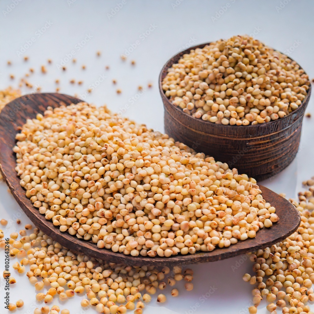 Sorghum Seeds Sorghum Seeds