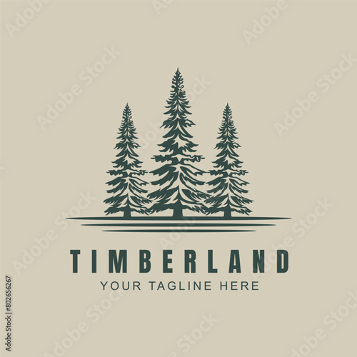 evergreen pine tree logo vintage vector emblem illustration design