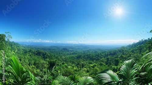 hyper-realistic photo from a tropical and cool-temperate forest