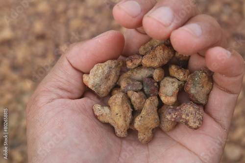 Red gravel. small red pebbles. Can be used for natural aquariums with red brown color. contained in and plains of red soil