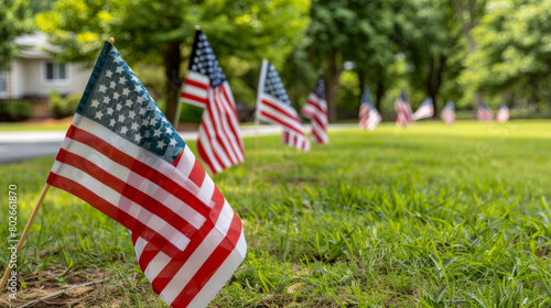 American flags lined up on grassy front yard