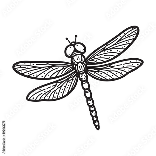 Line art of dragonfly isolated on white background vector