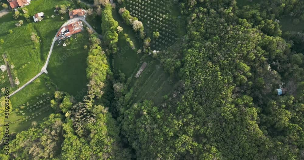 Dense Thicket And Agricultural Landscape At Bassano del Grappa In Vicenza, Veneto In Northern Italy. Aerial Topdown Shot Dense Thicket And Agricultural Landscape At Bassano del Grappa In Vicenza, Veneto In Northern Italy. Aerial Topdown Shot