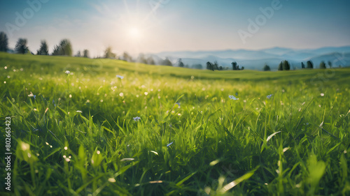 Beautiful sunny spring meadow with green grass and blue sky. Abstract background with light bokeh and space for text