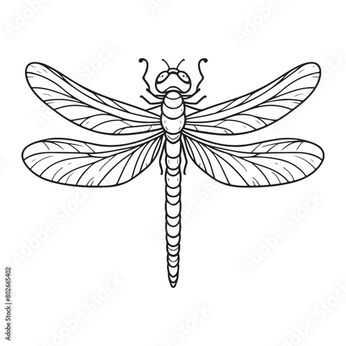 Line art of dragonfly vector