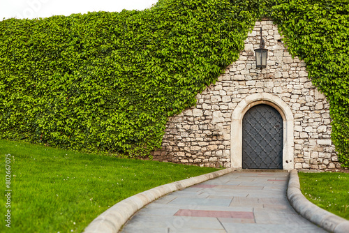 A small mystical door in the ivy-covered fence to the old Zamek Krolewski na Wawelu castle in the center of Krakow.