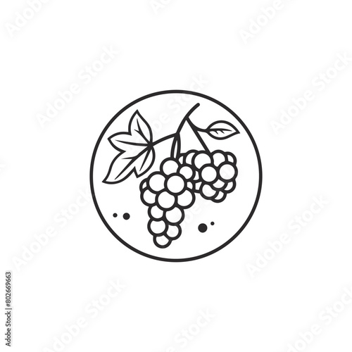 Bunch of grapes with leaf, vector illustration, line art, icon.