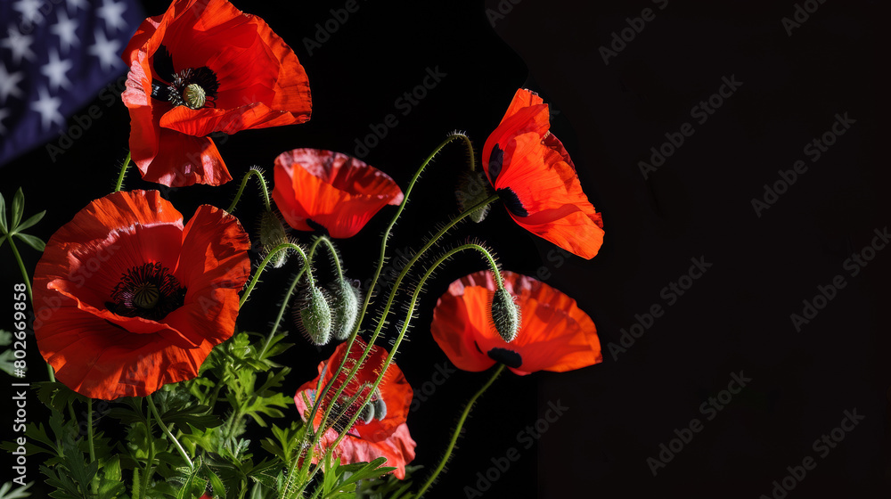 Red poppies against dark background with American flag Red poppies against dark background with American flag