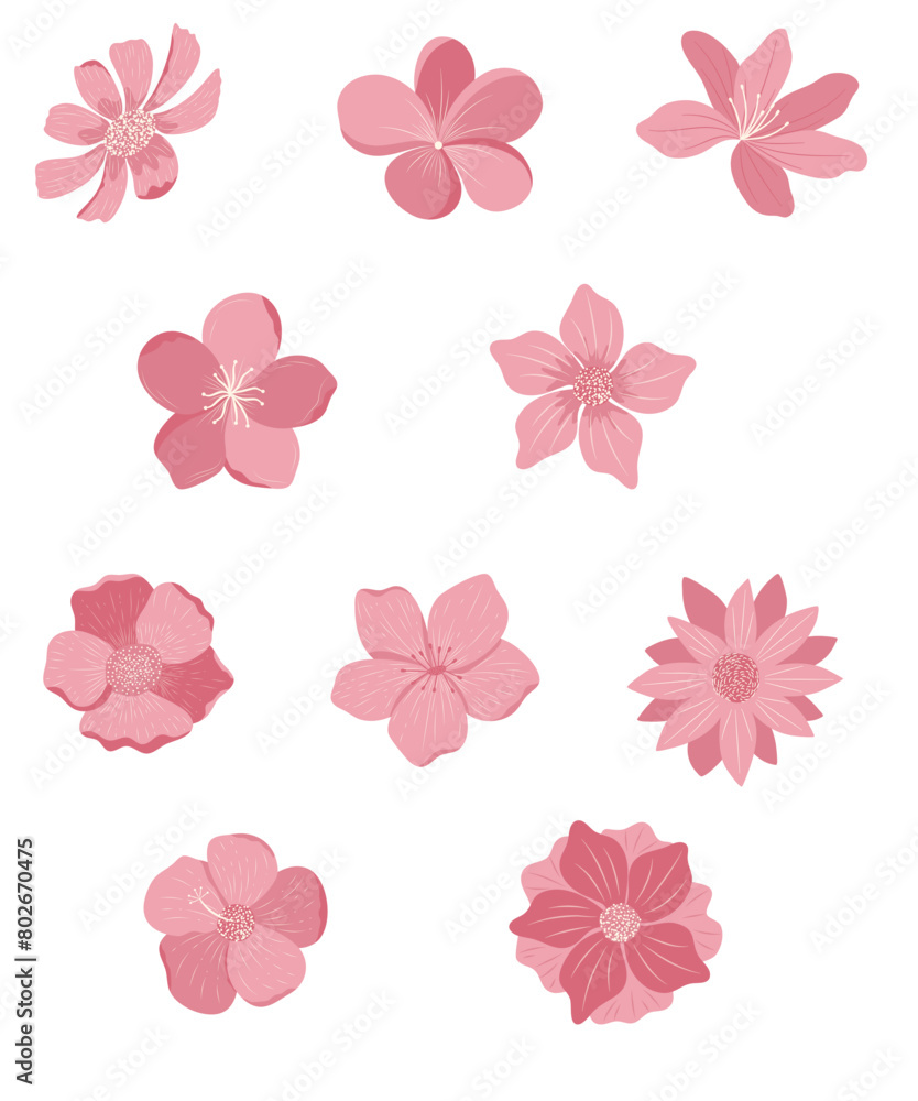set of pink flowers set of pink flowers