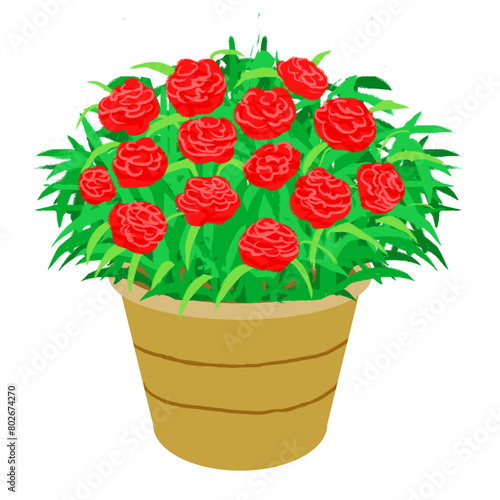 母の日に送るカーネーションの鉢植えのイラスト