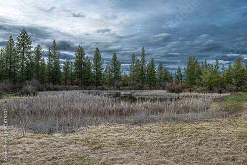 Turnbull National Wildlife Refuge, WA