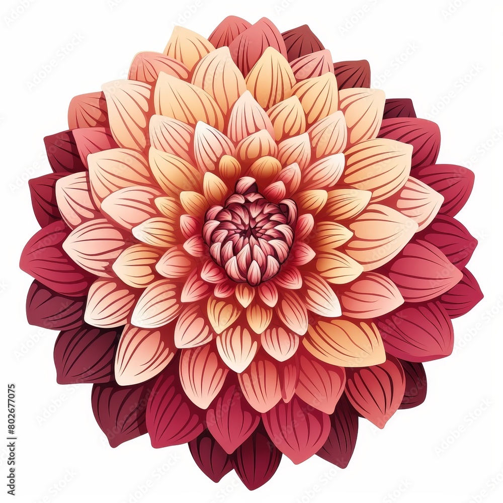 A large pink and yellow flower with a white background A large pink and yellow flower with a white background