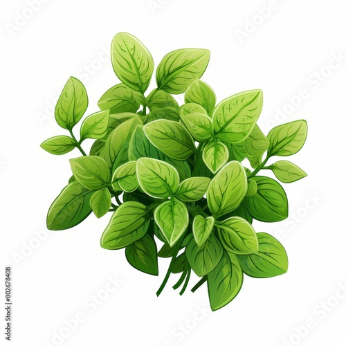 A bunch of green leaves of parsley