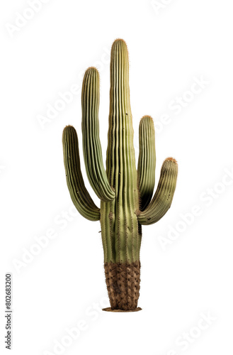 Cactus in a pot with sharp spines on a black background, perfect for an indoor plant theme. Generative AI