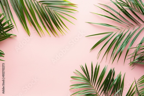 Tropical green palm leaves on pink background with copy space.