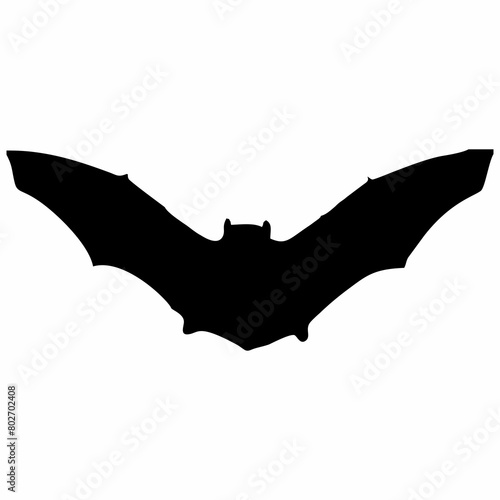 black silhouette of a bat