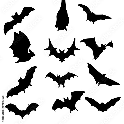 black silhouette of a bat