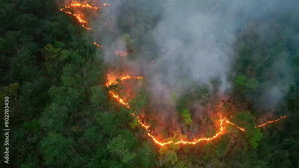 Wildfires in tropical forest release carbon dioxide (CO2) emissions and other greenhouse gases (GHG) that contribute to climate change. Wildfires in tropical forest release carbon dioxide (CO2) emissions and other greenhouse gases (GHG) that contribute to climate change.