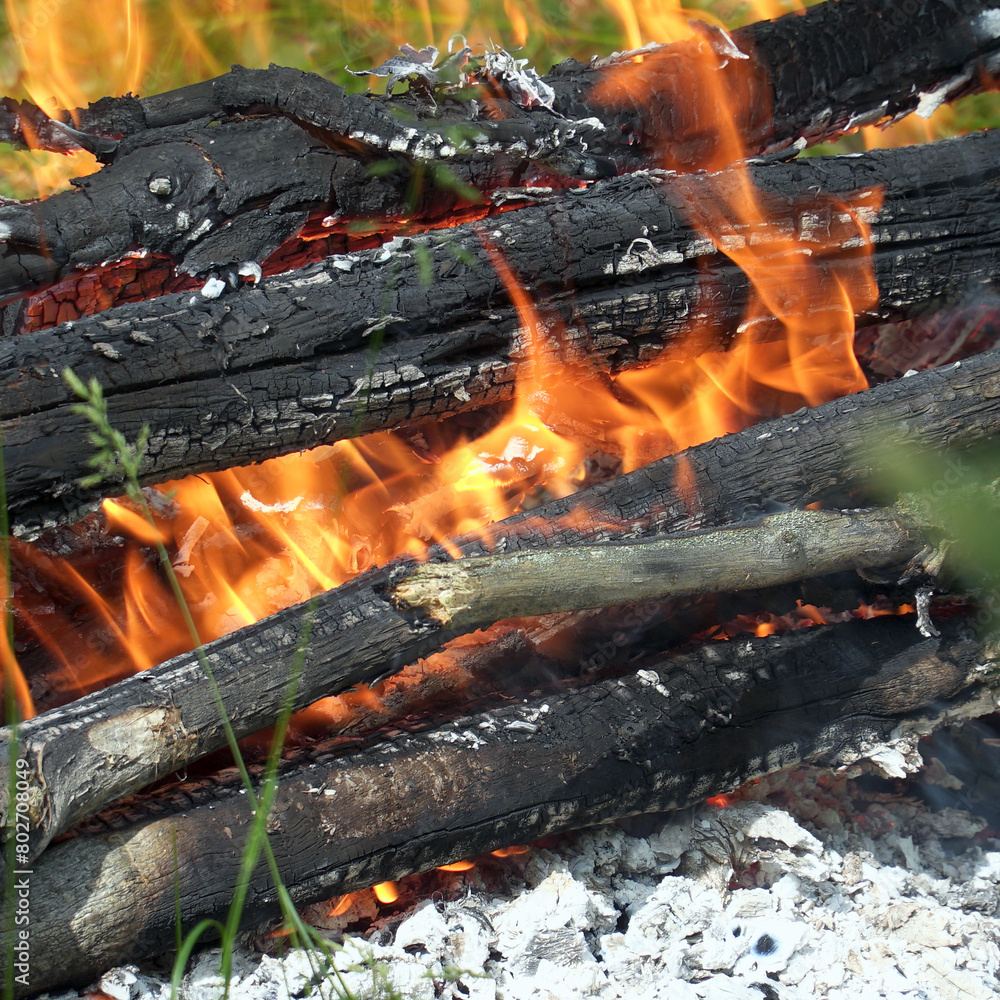View of the burning campfire in camp View of the burning campfire in camp