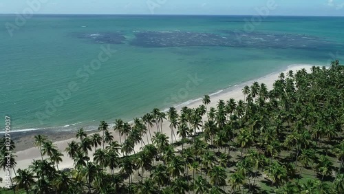 Aerial view of Carneiros Beach - Tamandaré, Pernambuco, Brazil photo