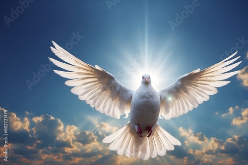 A white dove flying in the sky with the sun shining on it. Concept of peace and freedom