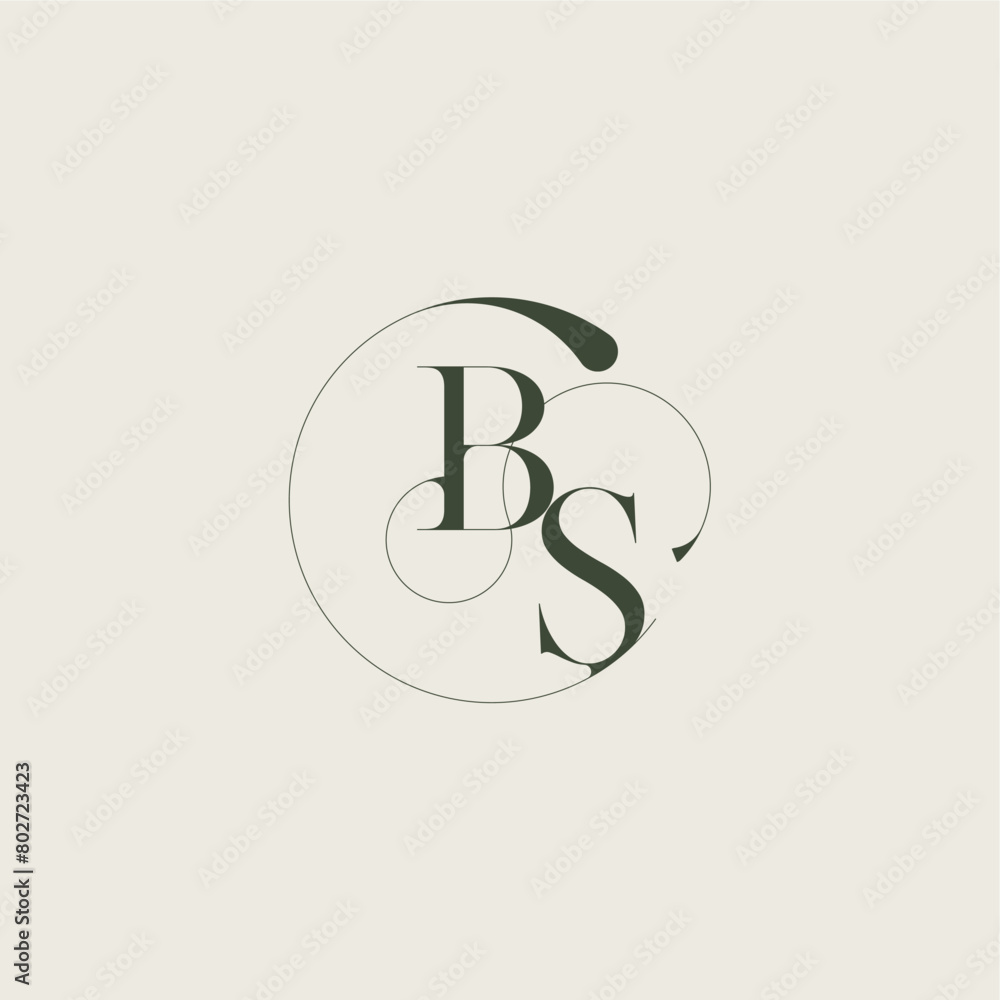 beautifull monogram initial elegant line concept BS feminine wedding style letter beautifull monogram initial elegant line concept BS feminine wedding style letter