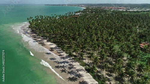 Aerial view of Carneiros Beach - Tamandaré, Pernambuco, Brazil photo