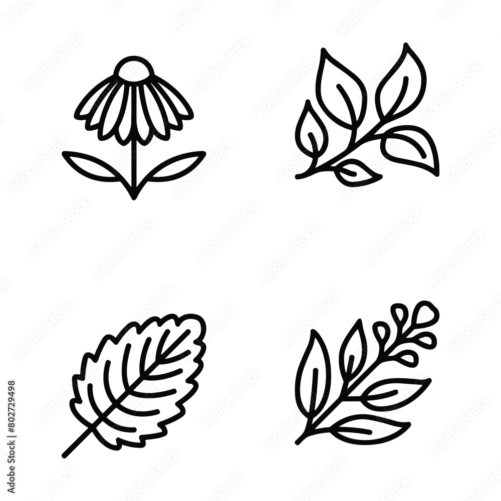 Icon set of flower. Editable vector pictograms isolated on a white background. Icon set of flower. Editable vector pictograms isolated on a white background.