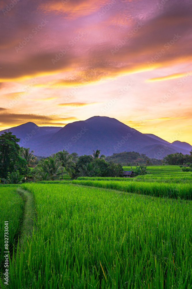 beautiful morning view from Indonesia of mountains and tropical forest