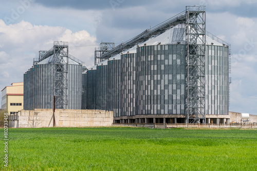 Granary elevator, silver silos on agro manufacturing plant for processing drying cleaning and storage of agricultural products, flour, cereals and grain. A field of green wheat. © svetograph